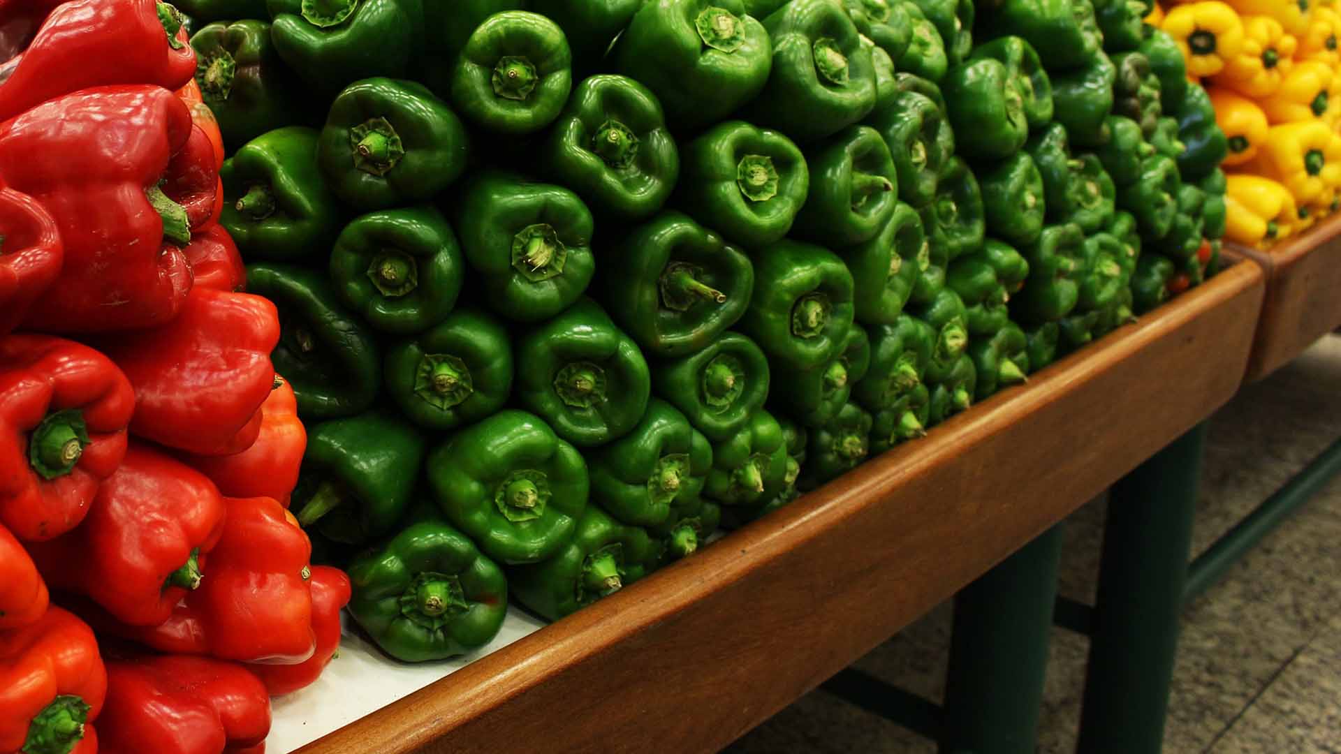 A person holding a seedling, representing sustainable agriculture.