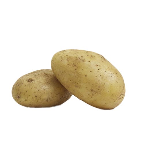 Potato